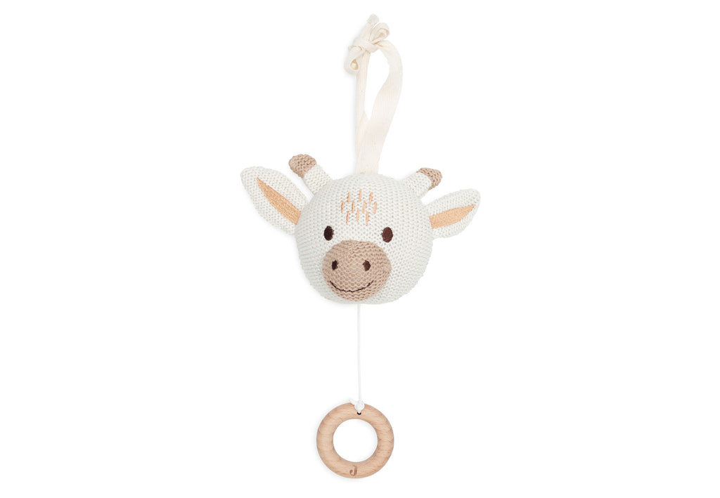 Musical Hanger Bear