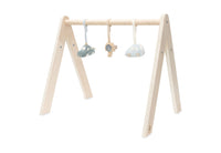 Babygym Toys - On The Go